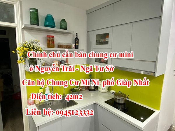 Chính chủ cần bán chung cư mini ở Nguyễn Trãi - Ngã Tư Sở 2581514